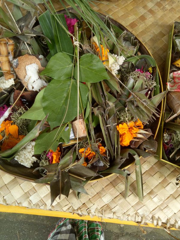 bayuan