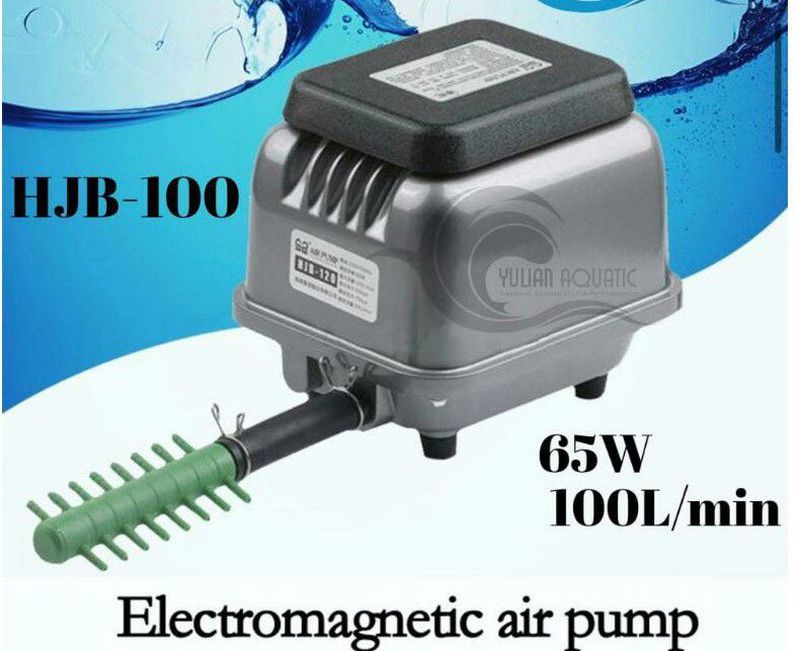 Pompa Aria Secondaria VW Passat B9 Variant (CJ5) Di Qualità Originale - Foto 11