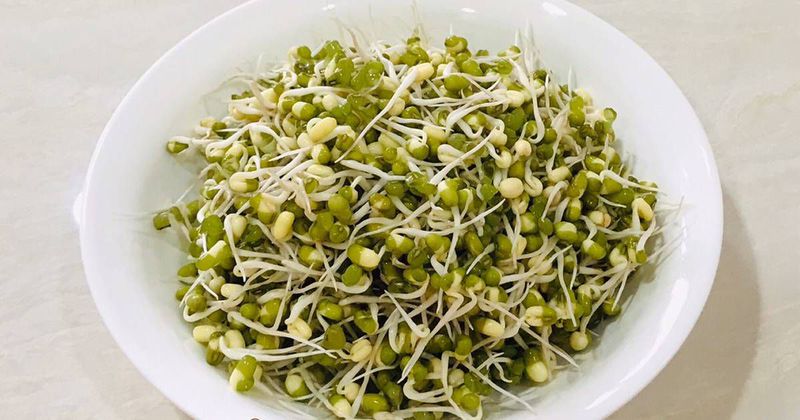 tokolan kacang hijau
