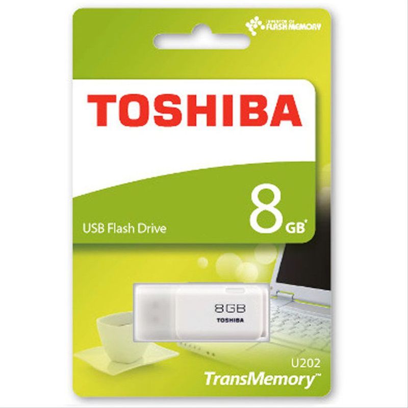 FlashDisk