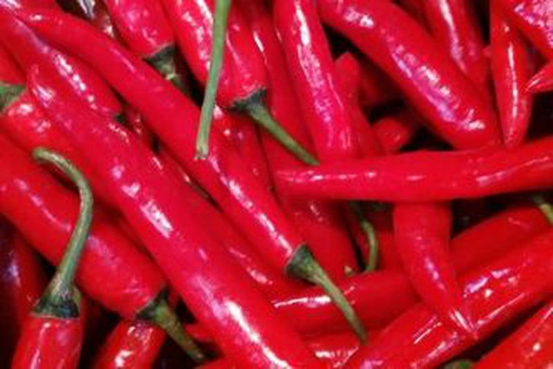Cabai Merah
