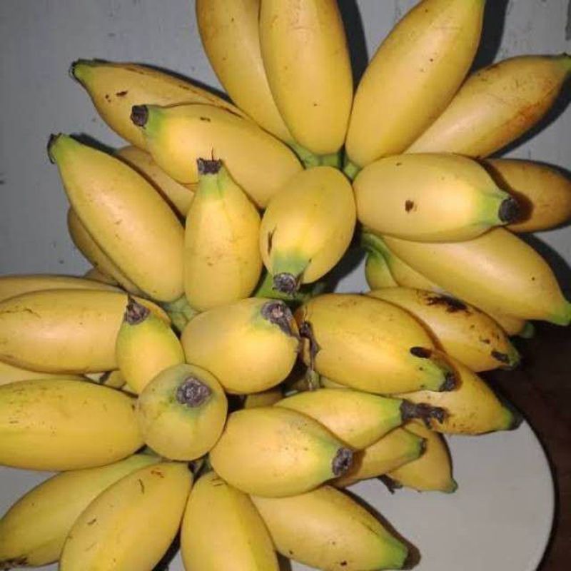 Pisang Mahuli
