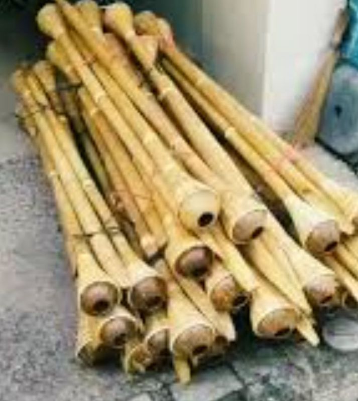 obor bambu