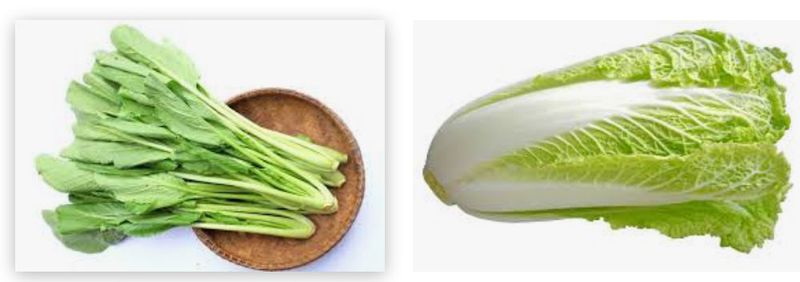 SAWI SAYUR - Hijau