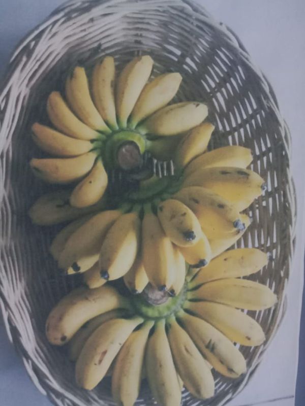 Pisang raja