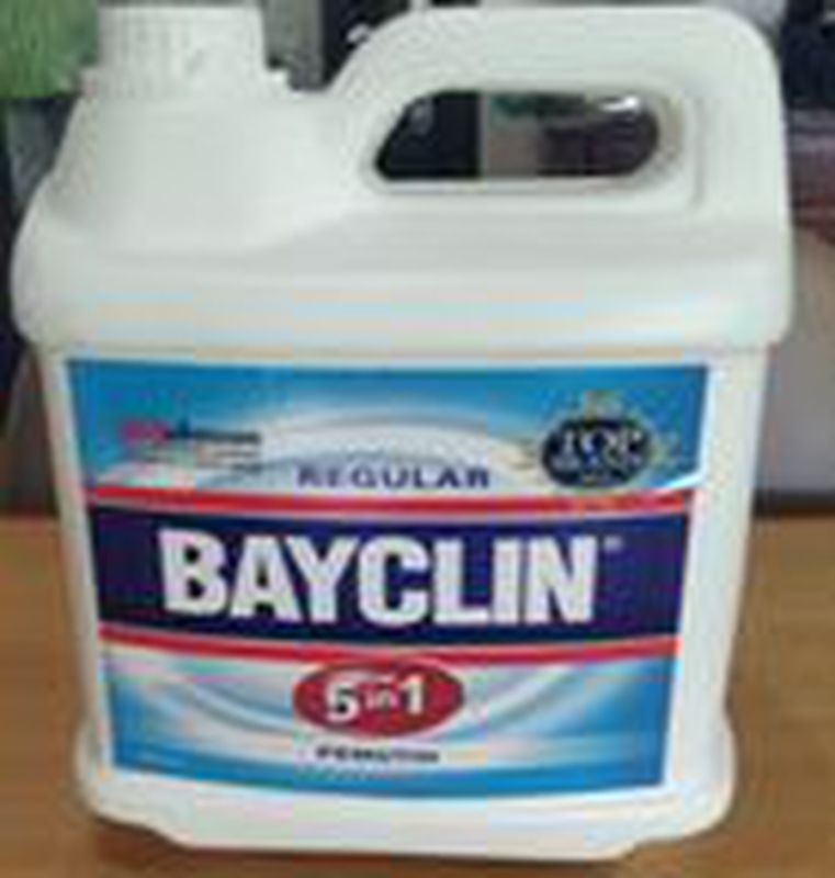 Bayclin 4 lt