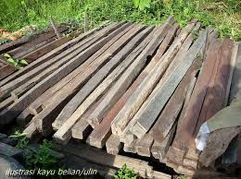 kayu belian tidak ketam 7/7
