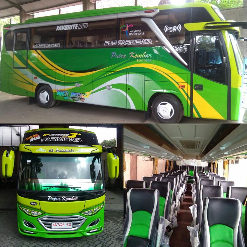 Bus Pariwisata Medium