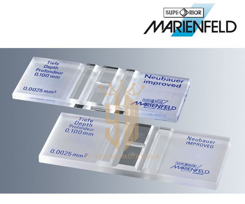 COUNTING CHAMBER IMPROVED NEUBAUER GERMANY