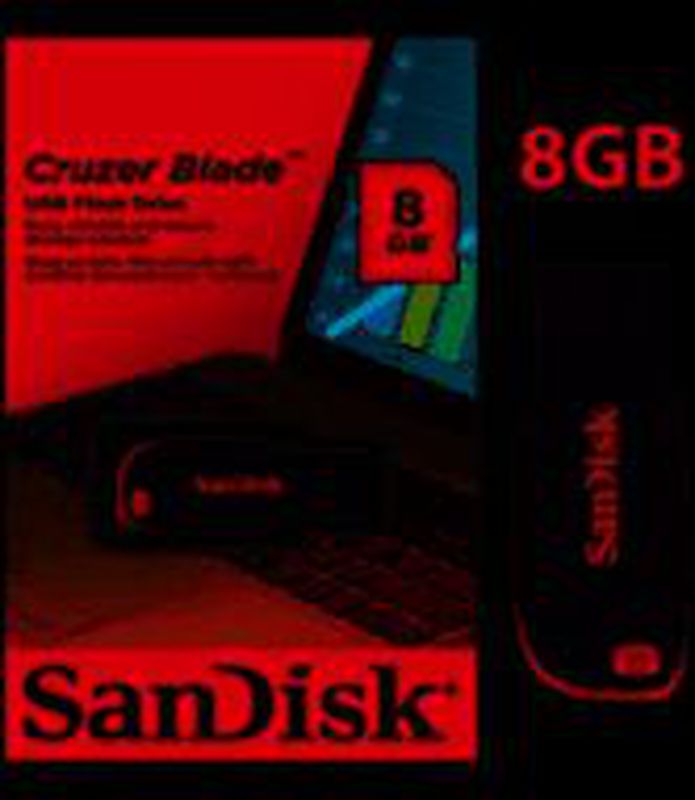 flas disc 8 giga