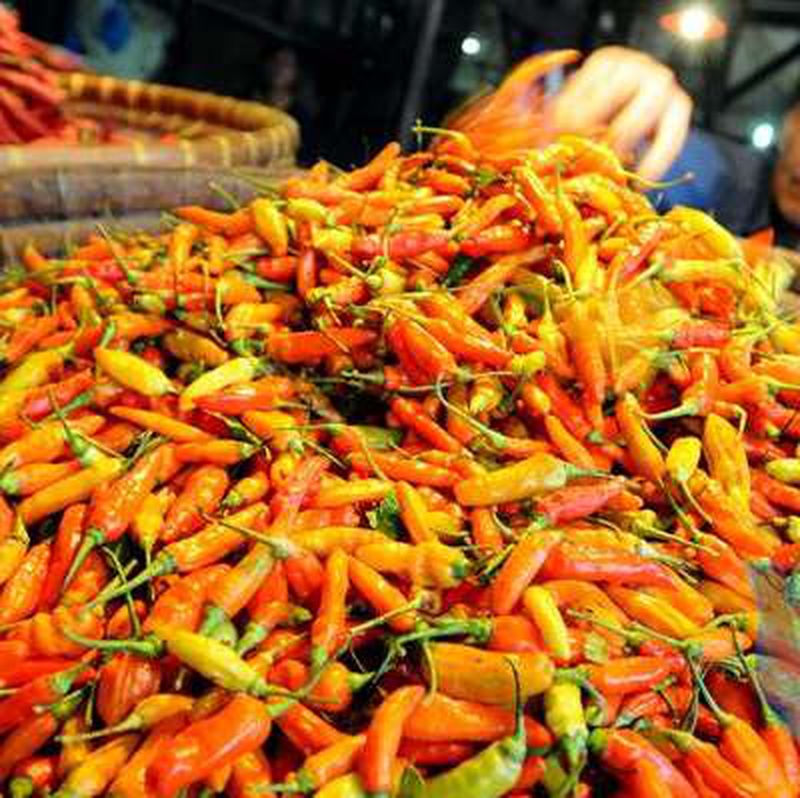 Cabe Rawit