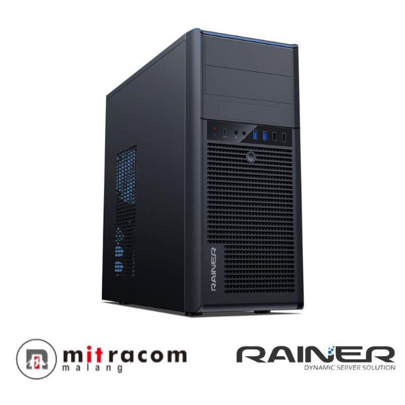 Rainer S-20V6T81H2 Server Tower (TKDN)