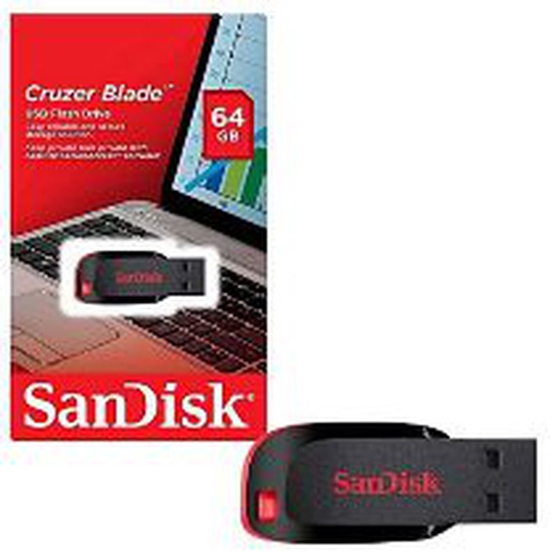 FlashDisk