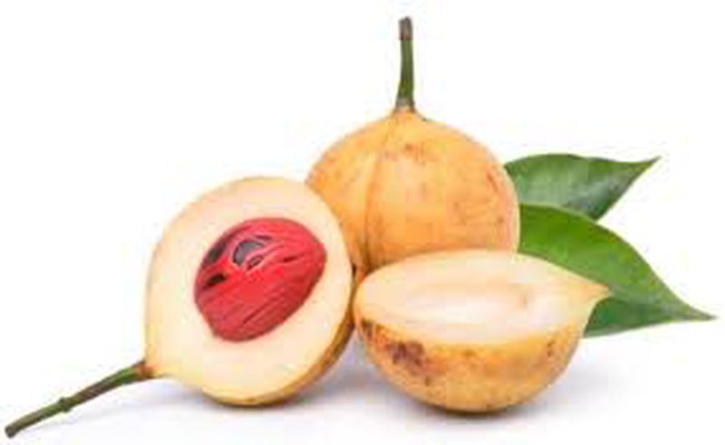 Buah Pala