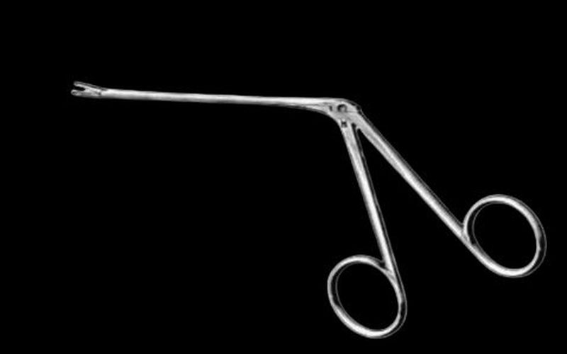 Aligator Forcep 14cm