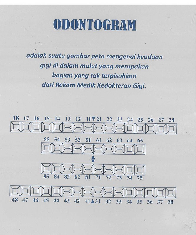 Odontogram