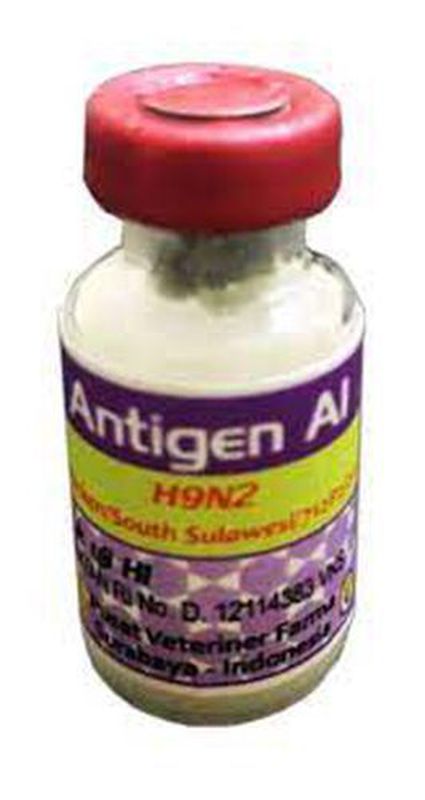 Antigen AI H9N7