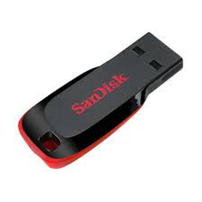 Flash Disk 8 Gb