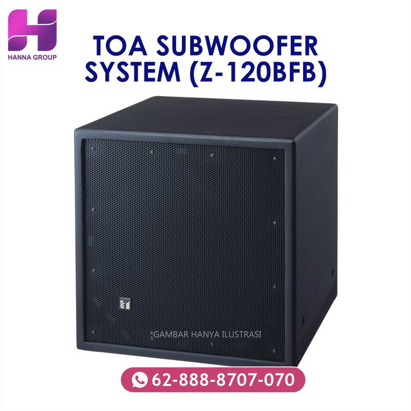 Subwoofer toa 2024