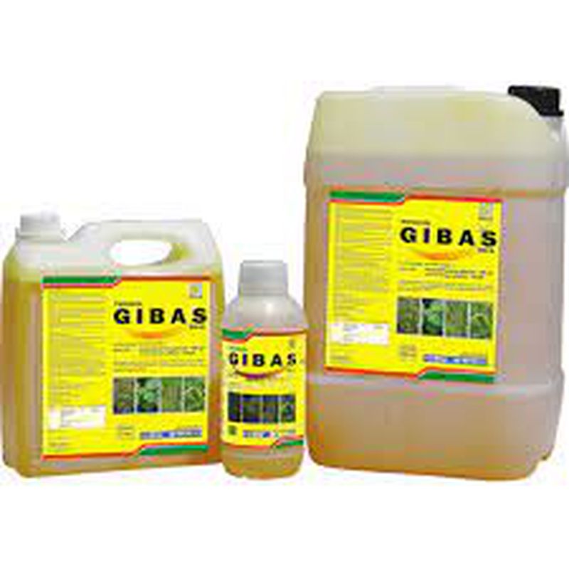 Herbisida Gibas 240 Sl 1 Liter