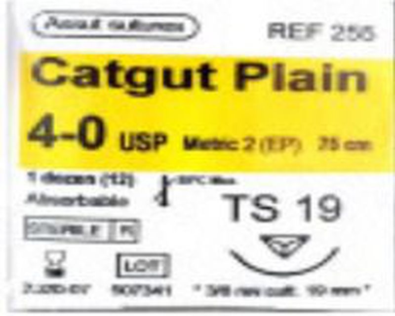 CATGUT PLAIN 4/0 TS-19 255