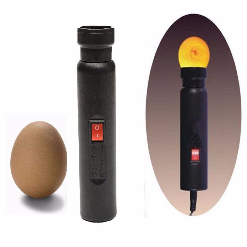 Kachel 1 SET LED Light Incubator Ei Candler Tester for broedeieren Quail pluimvee Incubation apparatuur