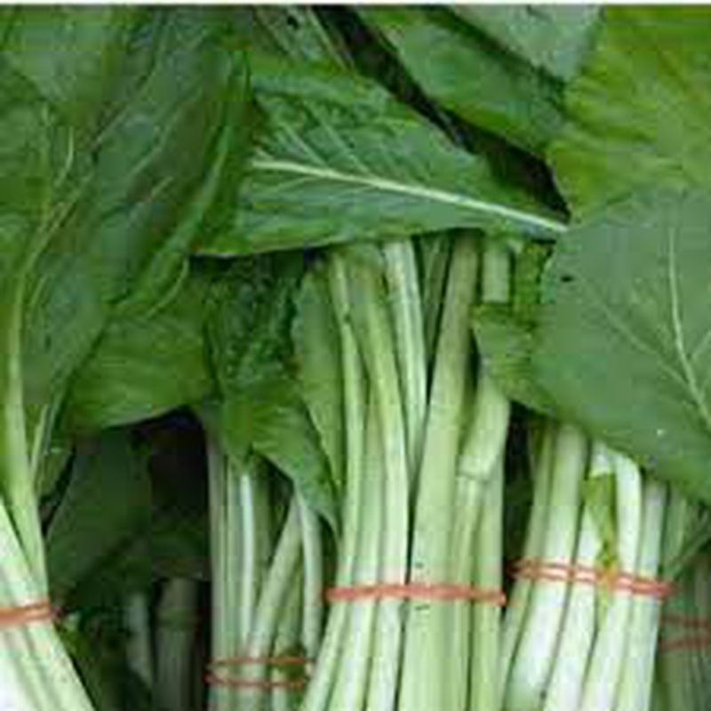 Sayur Sawi