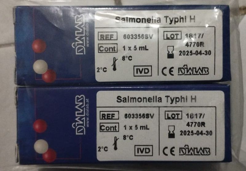 Salmonella Typhi H