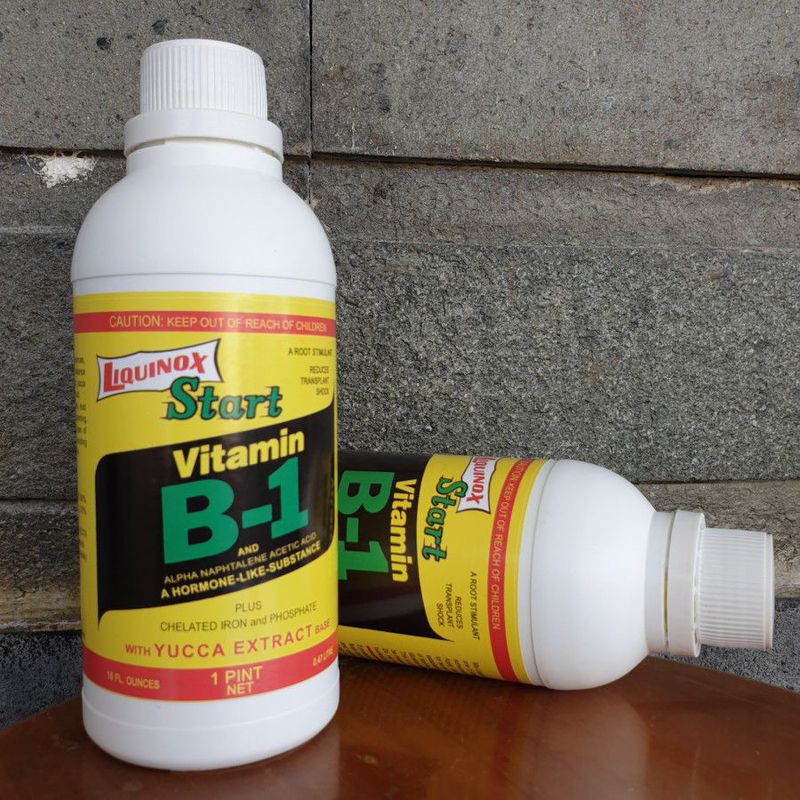 Vitamin B1 Bentuk Cairan