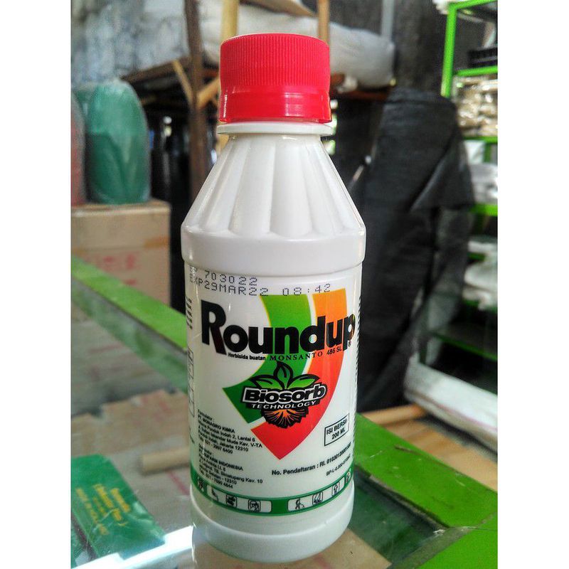 Round Up Pembasmi Rumput