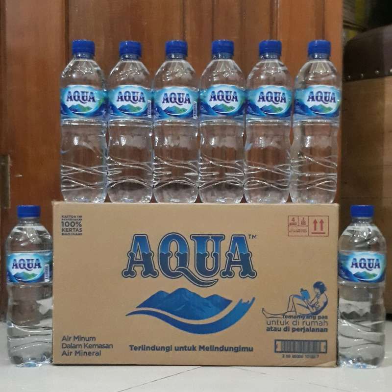 AQUA 600 ML 1 DUS 
