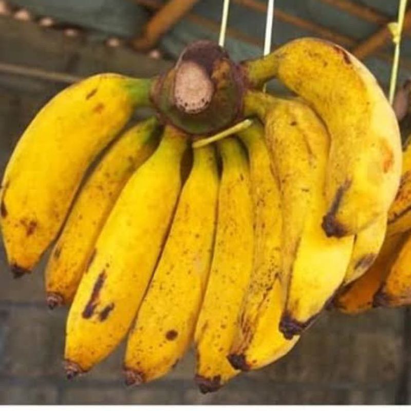 Pisang raja