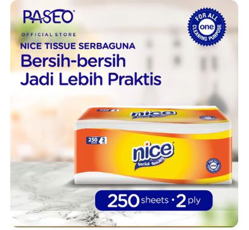 tissue kotak