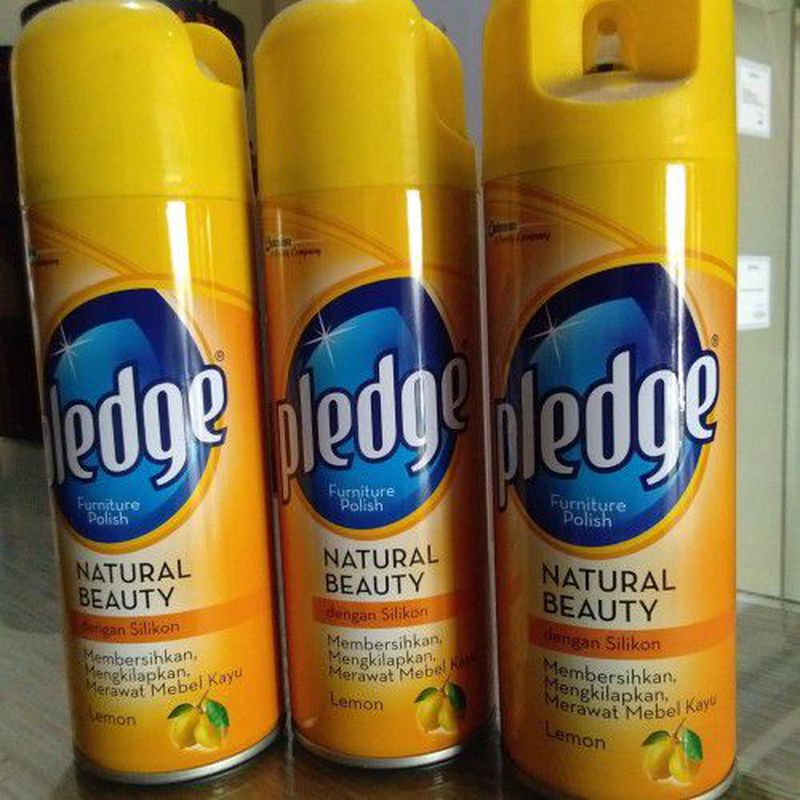 PLEDGE
