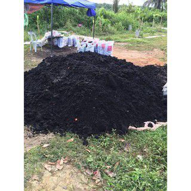 Tanah Hitam