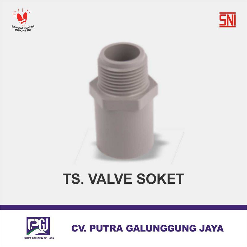 TS Valve Socket [Pralon] - 4 Inch