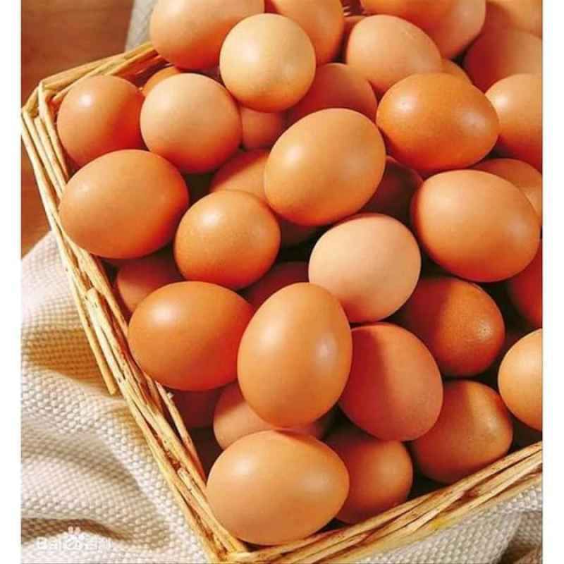 telor