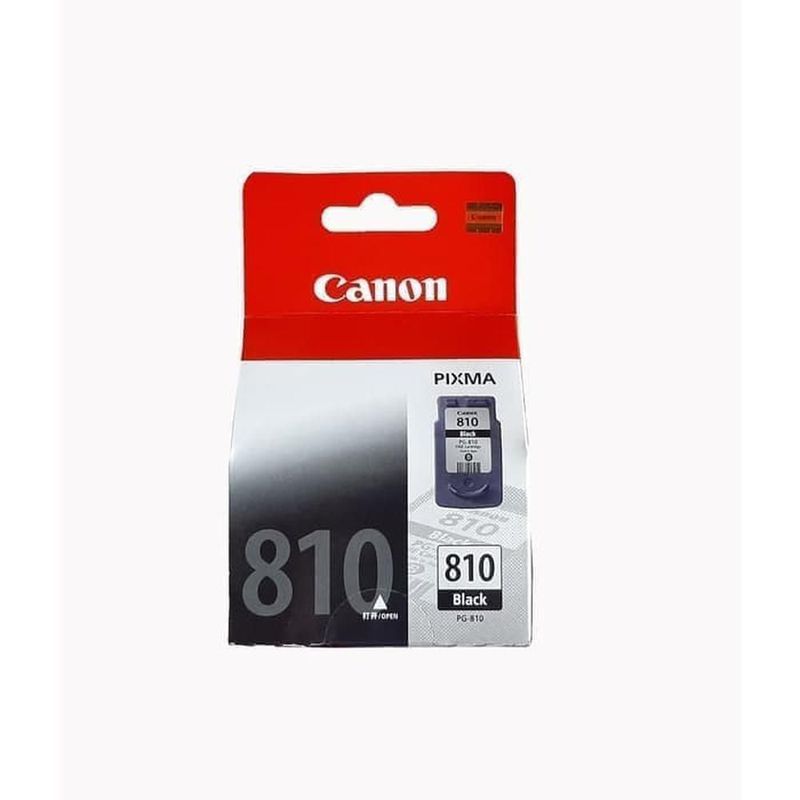 Ink Catridge 810 Black