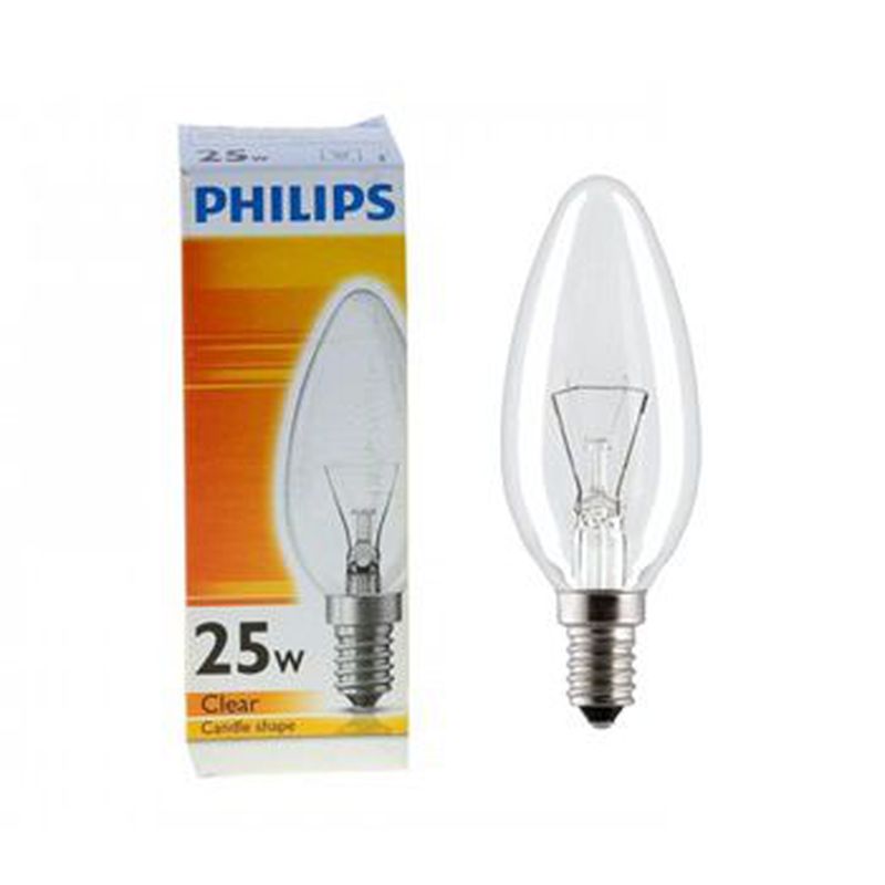 Lampu SL 25 Watt Philips