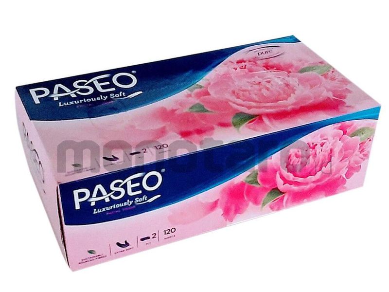 Tissue Kotak