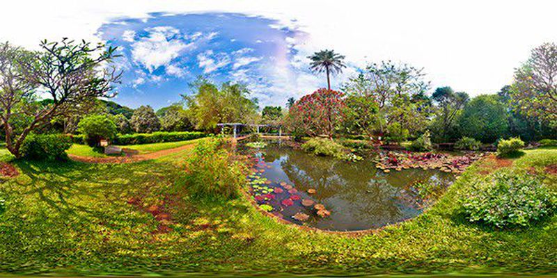 360 Degree View
