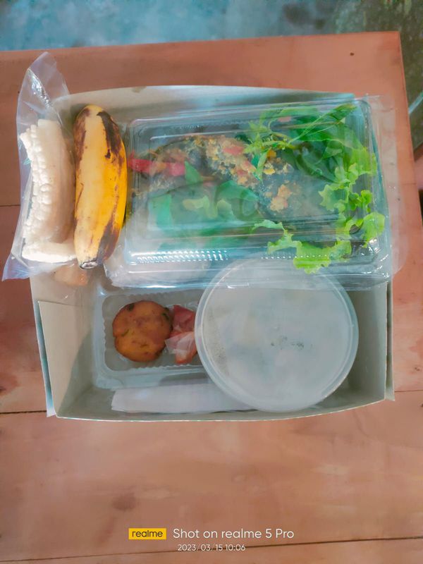 Nasi box C