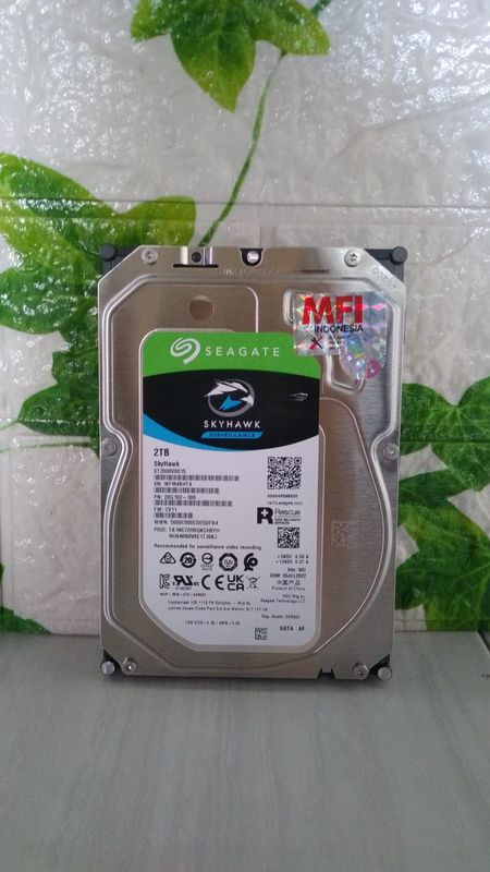Hardisk 2 TB Skyhawk