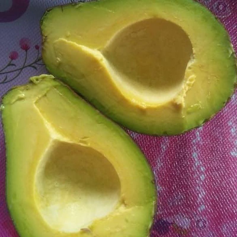 Apokat