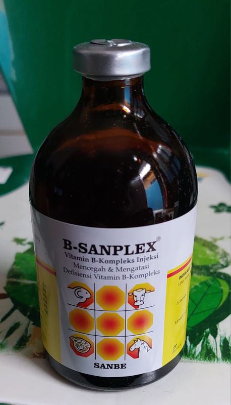 B-SANPLEX