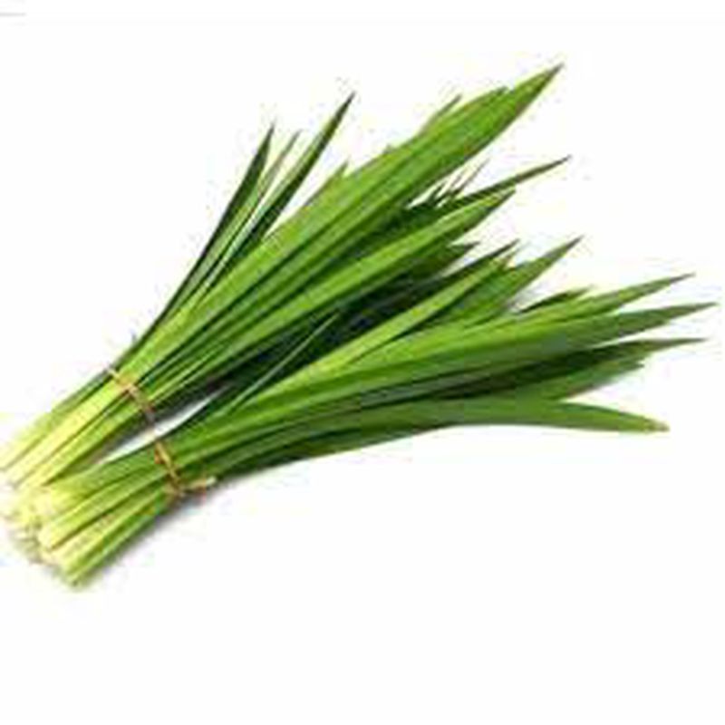DAUN PANDAN