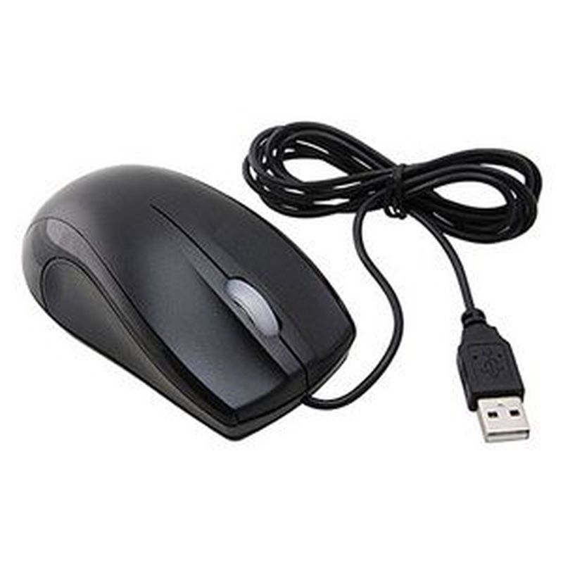 mouse