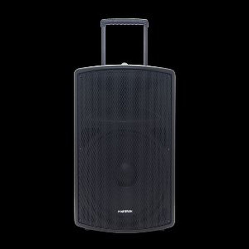 Polytron Professional Speaker Pas Pro F