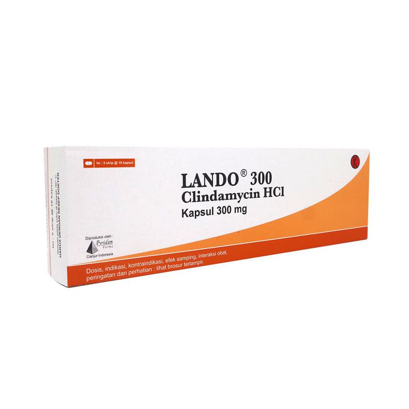 LANDO 300