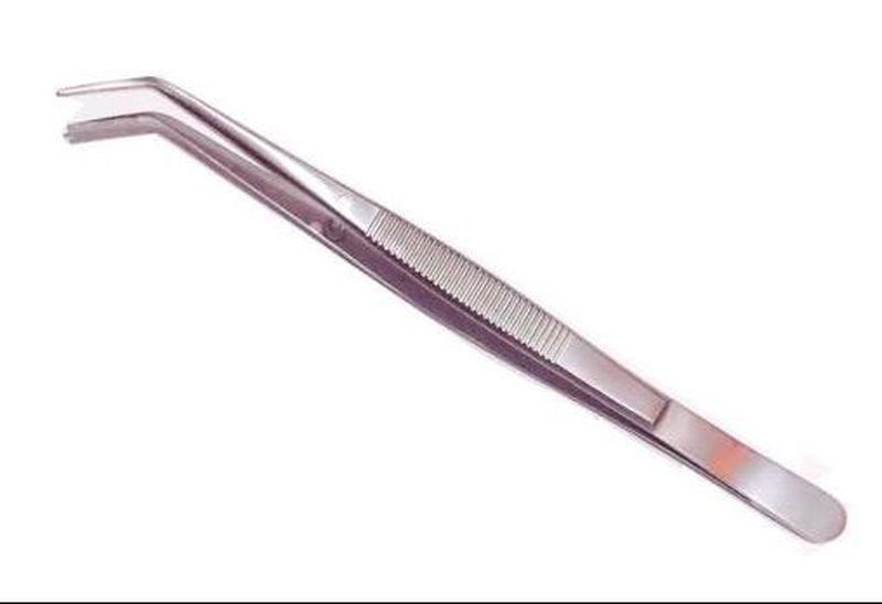 Pinset Dental